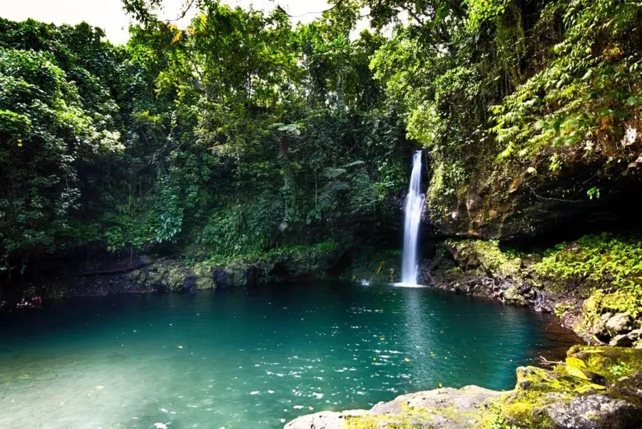 21 Best Things to Do in Samoa with Kids 👪 2026 - Samoa Pocket Guide ...