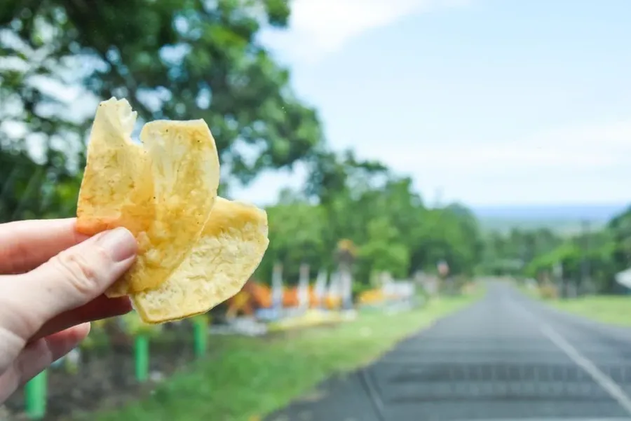 Traditional Samoan Food: 20 Foods to Try in Samoa 🥥 | Samoa Pocket Guide