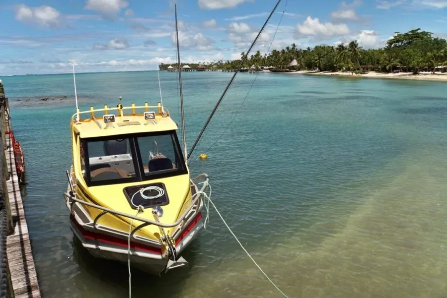 9 Best Fishing Charters in Samoa 🎣 2026 - Samoa Pocket Guide | Samoa ...