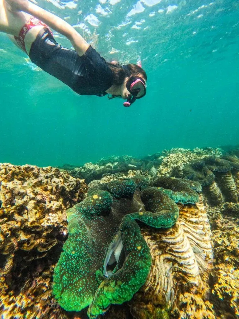 101 Best Things to Do in Samoa (Yes, We've Done Them All) | Samoa ...