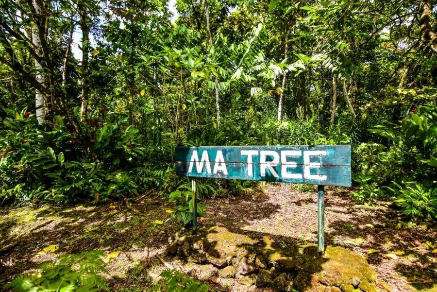 The Top 20 Natural Wonders in Samoa (+ Our Best Kept Secrets) | Samoa ...
