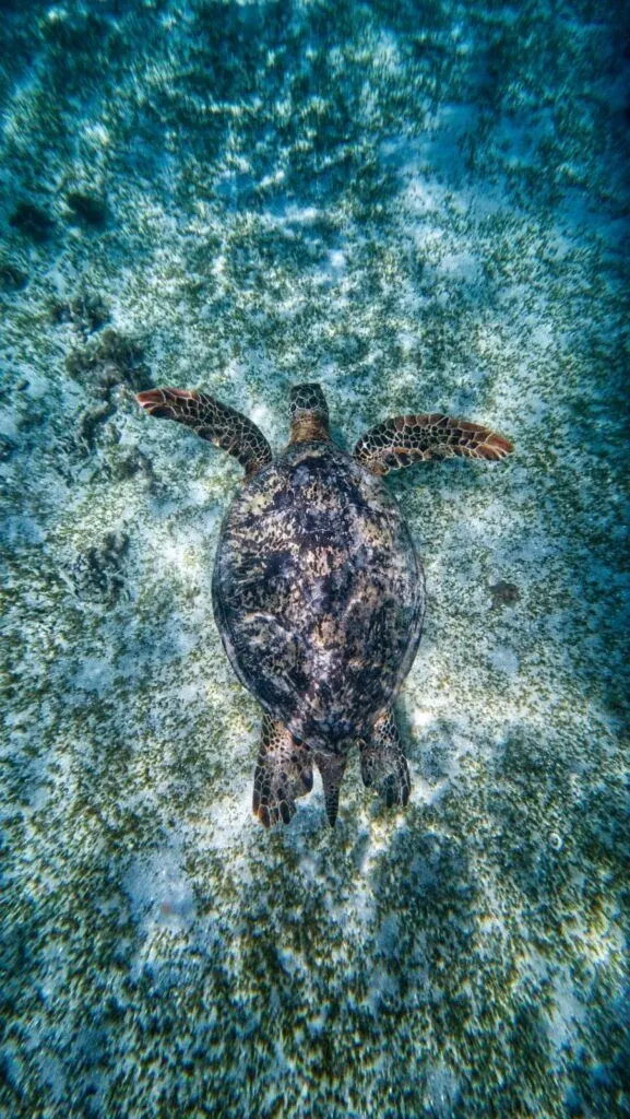 11 Best Eco Tours in Samoa