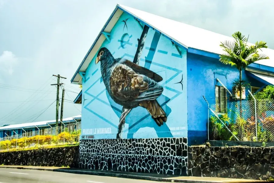20 Animals & Birds Found in Samoa - Samoa Pocket Guide 🦜 | Samoa Pocket ...