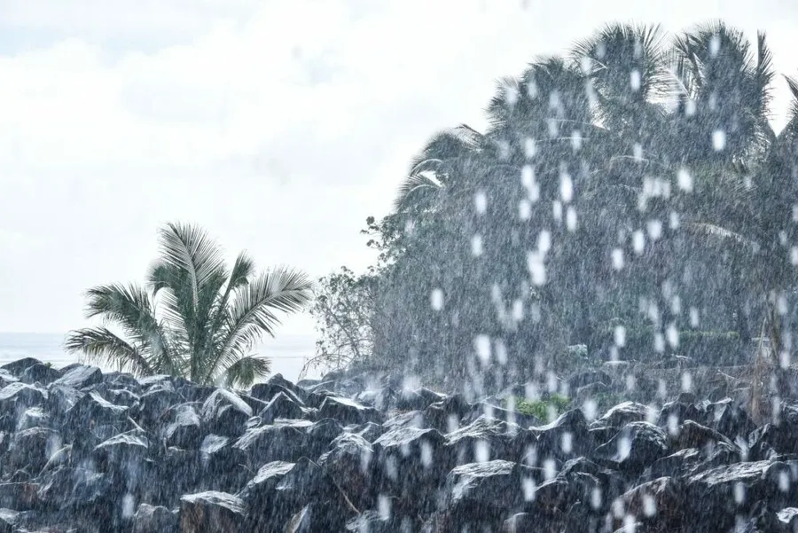 Samoa Weather in August 🌞 | Samoa Pocket Guide