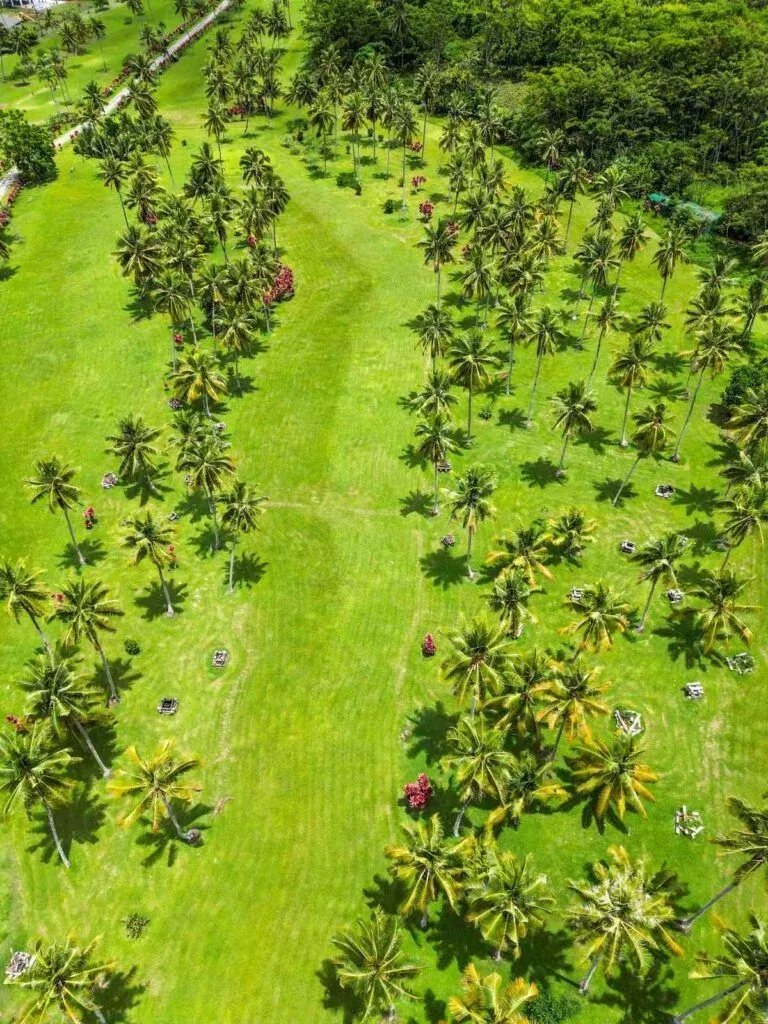 5 Best Golf Courses in Apia & Upolu | Samoa Pocket Guide