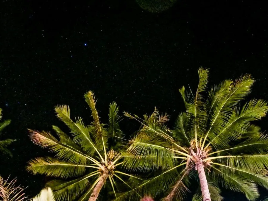 10 Things to Do in Samoa at Night | Samoa Pocket Guide