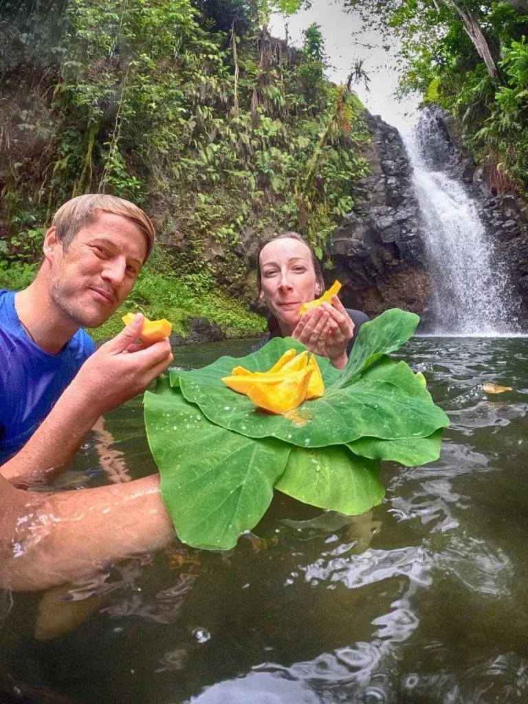 10 Exotic Fruits in Samoa You HAVE to Try! | Samoa Pocket Guide