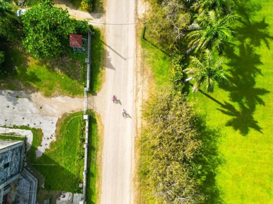 Tongatapu Transport Guide: 10 Ways to Get to Tongatapu (& Around Tongatapu)