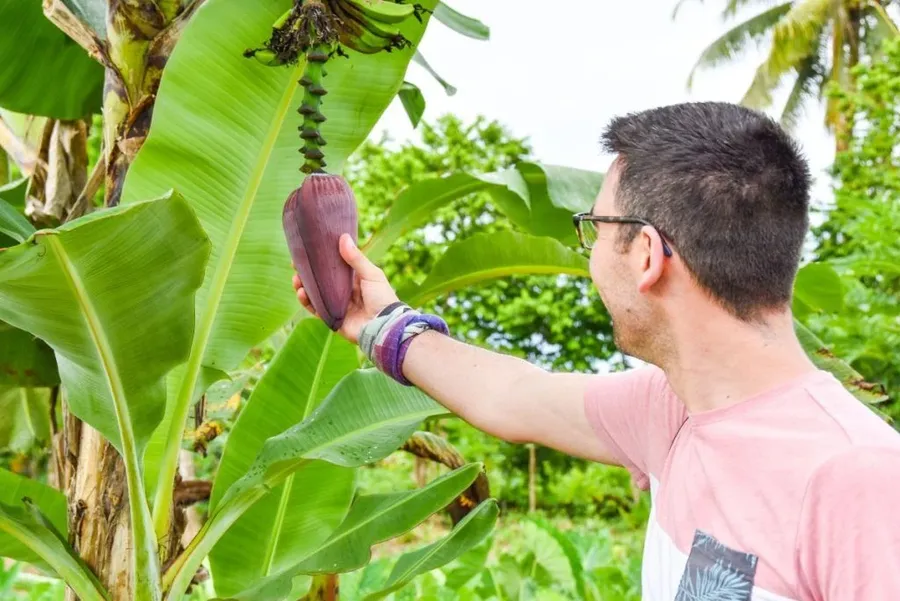 50 BEST Things to Do on Tongatapu ???? [2023]