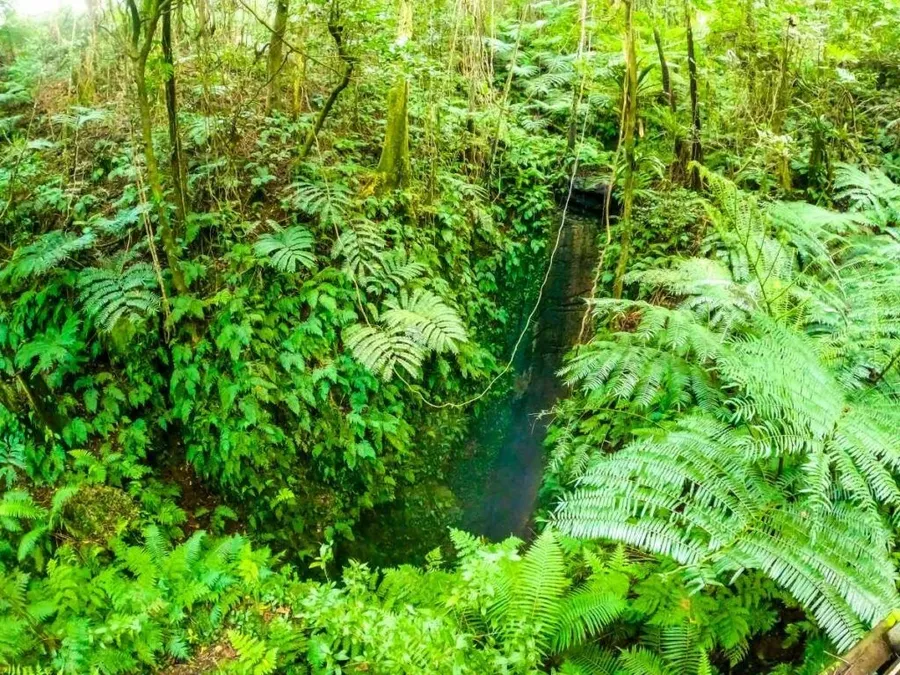 The Best Guided Island Land Tours of 'Eua