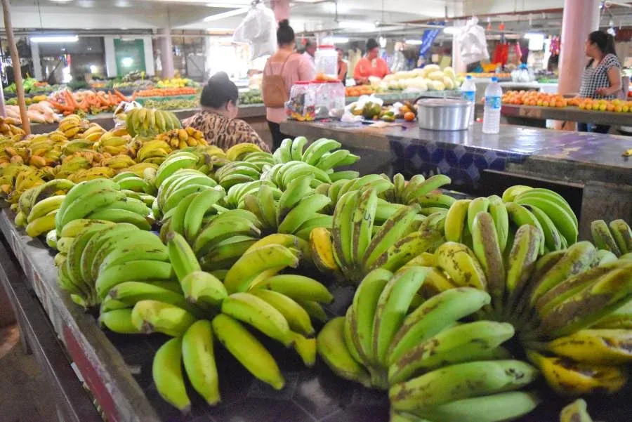 Tonga Foodie Itinerary: 14 Days