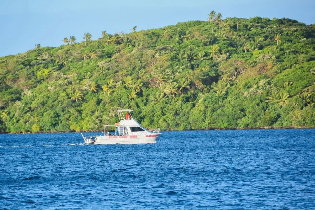 The Best Dive Shops & Operators in Vava'u