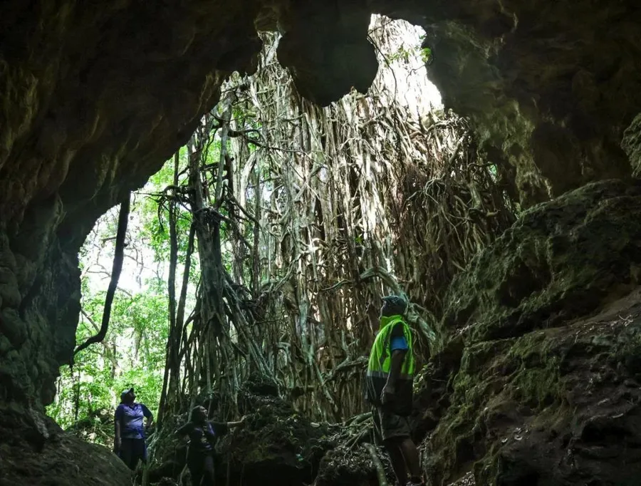 101 Best Things to Do in Tonga: The Ultimate List ???? [2023]