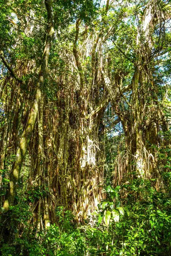 10 Best Natural Attractions in Tonga