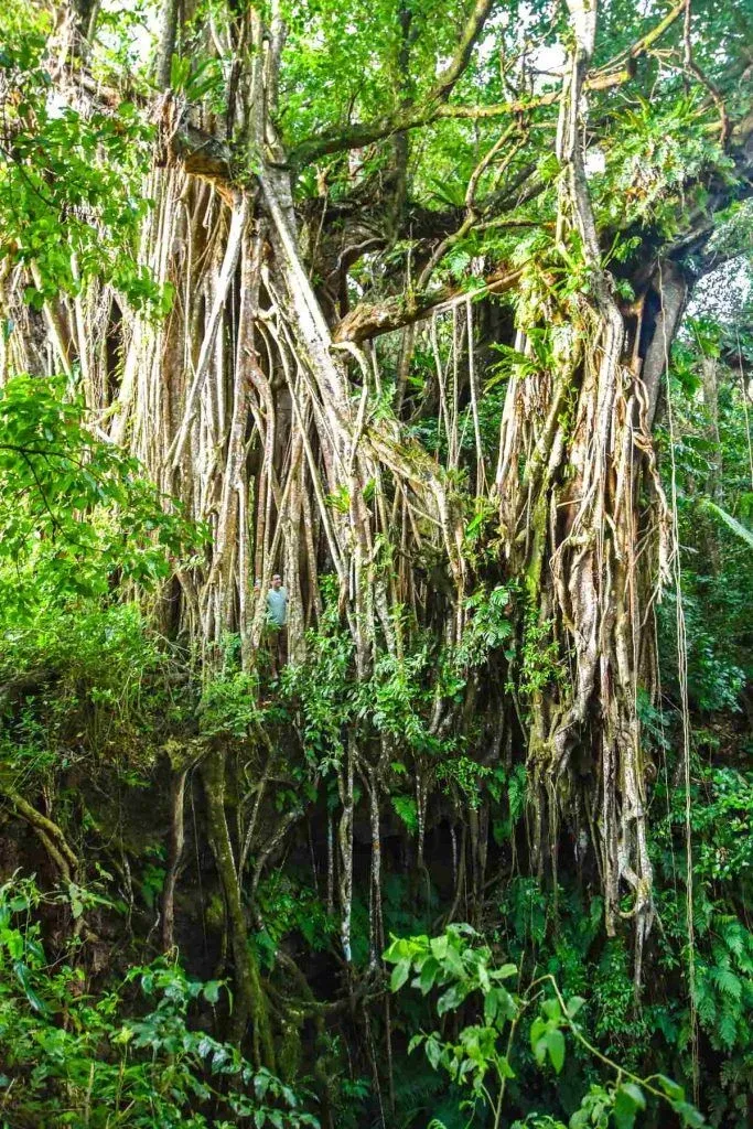 10 Most Iconic Sights in Tonga