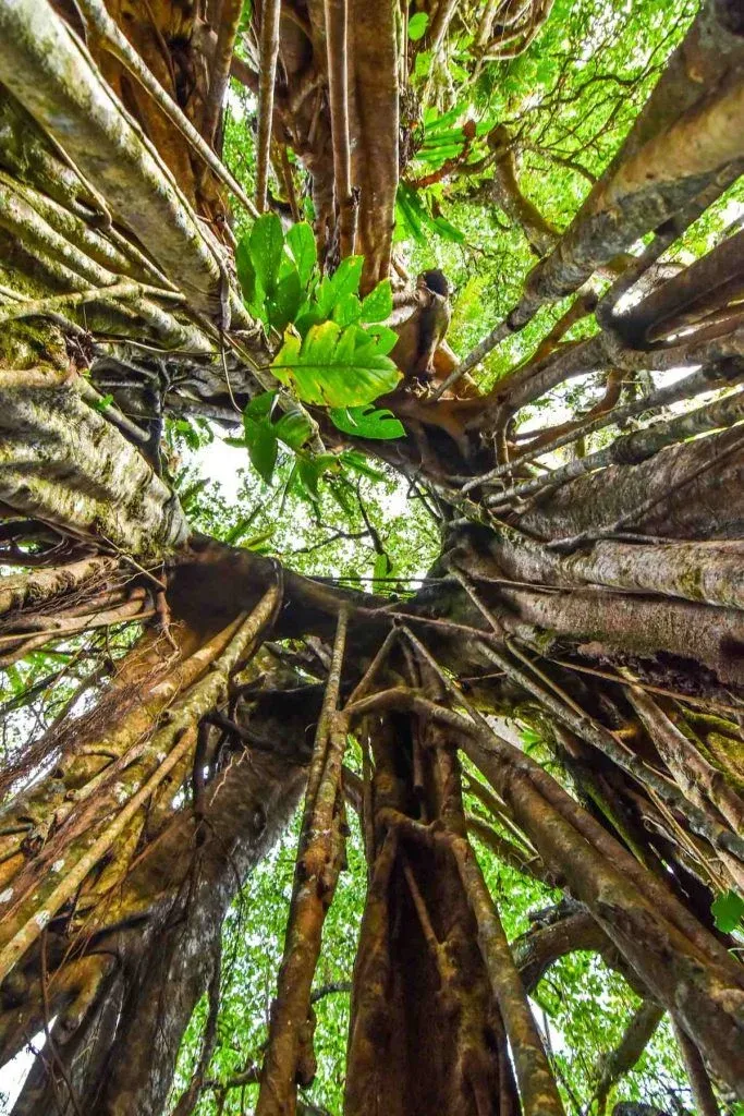10 Most Instagrammable Places in Tonga