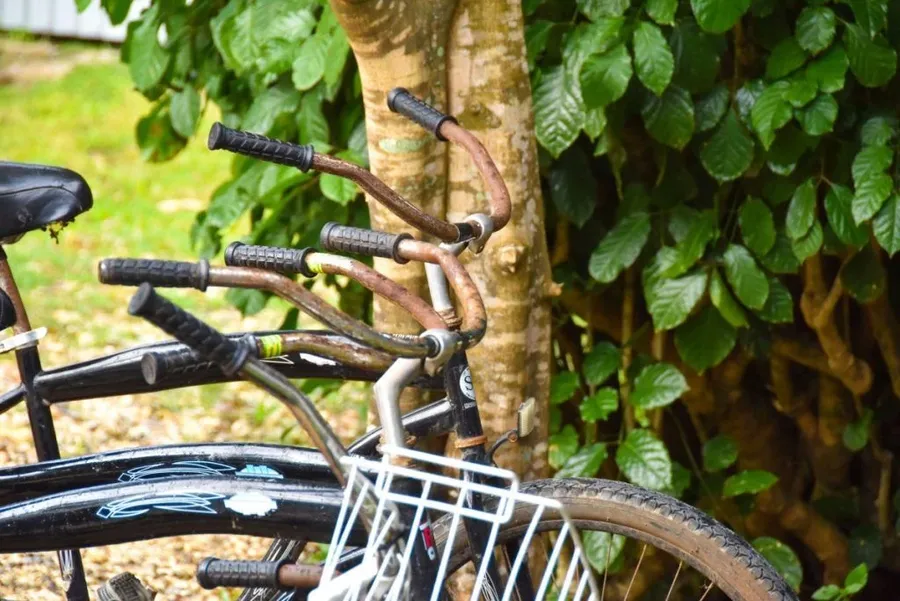 10 Tips for Cycling in Tonga