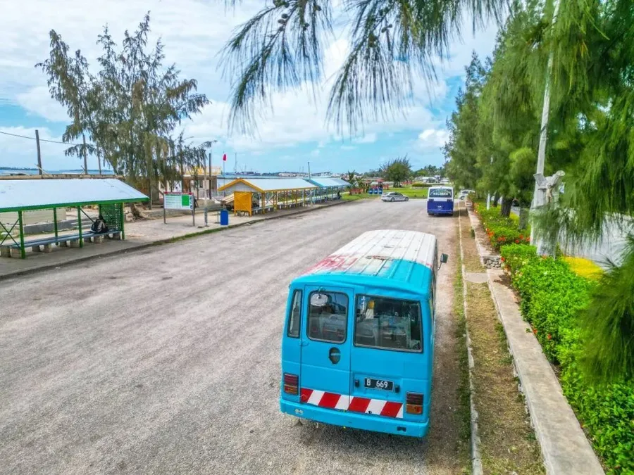 10 Tips for Taking the Bus in Tonga