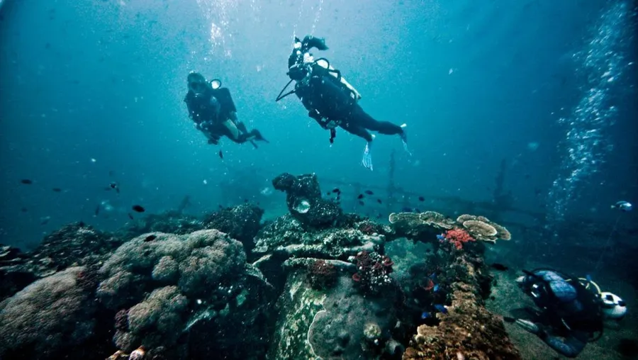 10 Best Water Activities in Tonga