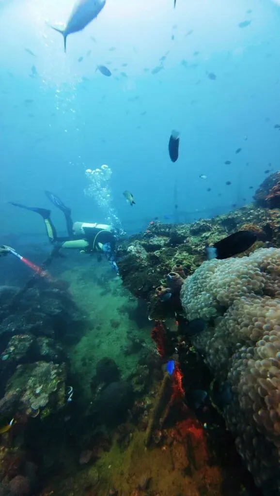 Tonga Luxury Itinerary: 14 Days / 2 Weeks