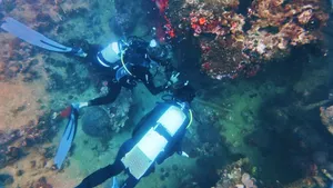 The Best Scuba Diving in Vava'u: Top 15 Places to Scuba Dive