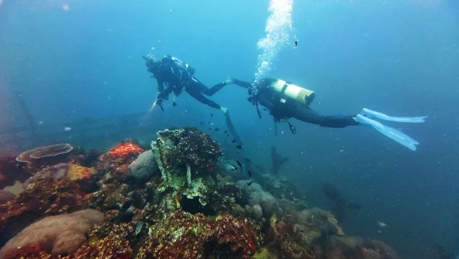 6 Best Dive Shops &amp; Operators in Tonga