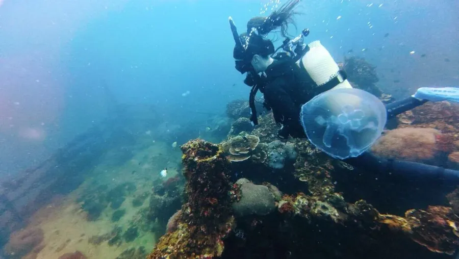 100 Best Things to Do in Tonga: The Ultimate List