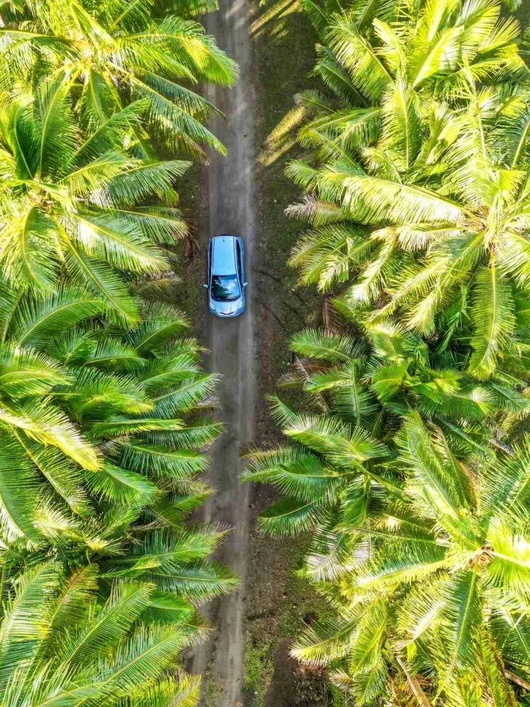 How Much Does it Cost to Rent a Car in Tonga?