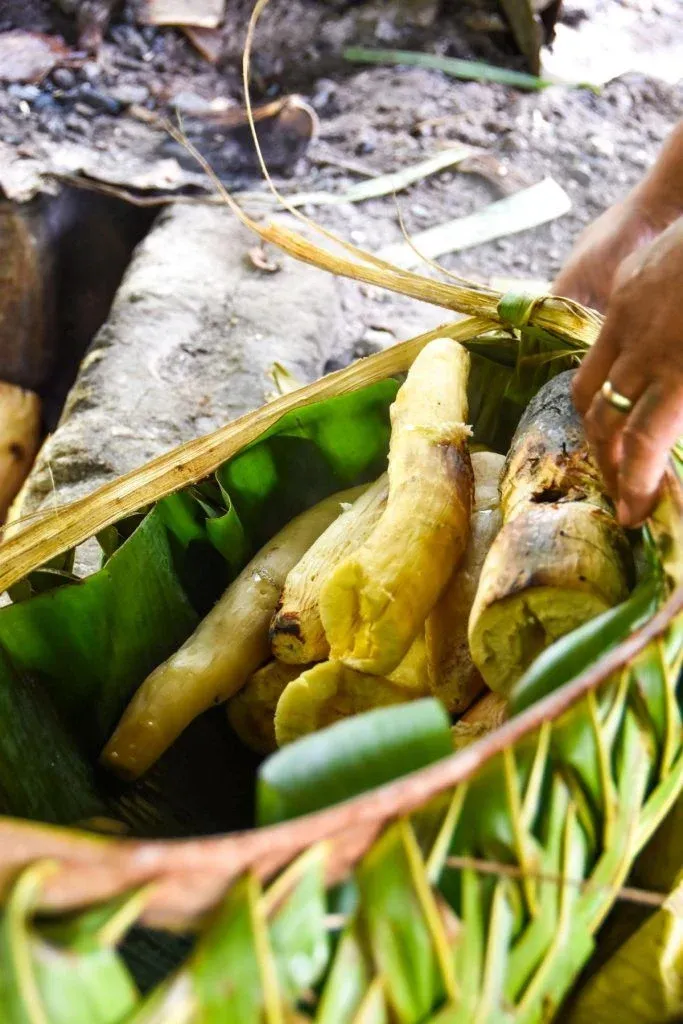 10 Best Things to Do on Niuatoputapu