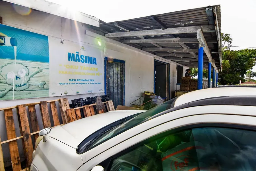 The Best Car Rentals on 'Eua