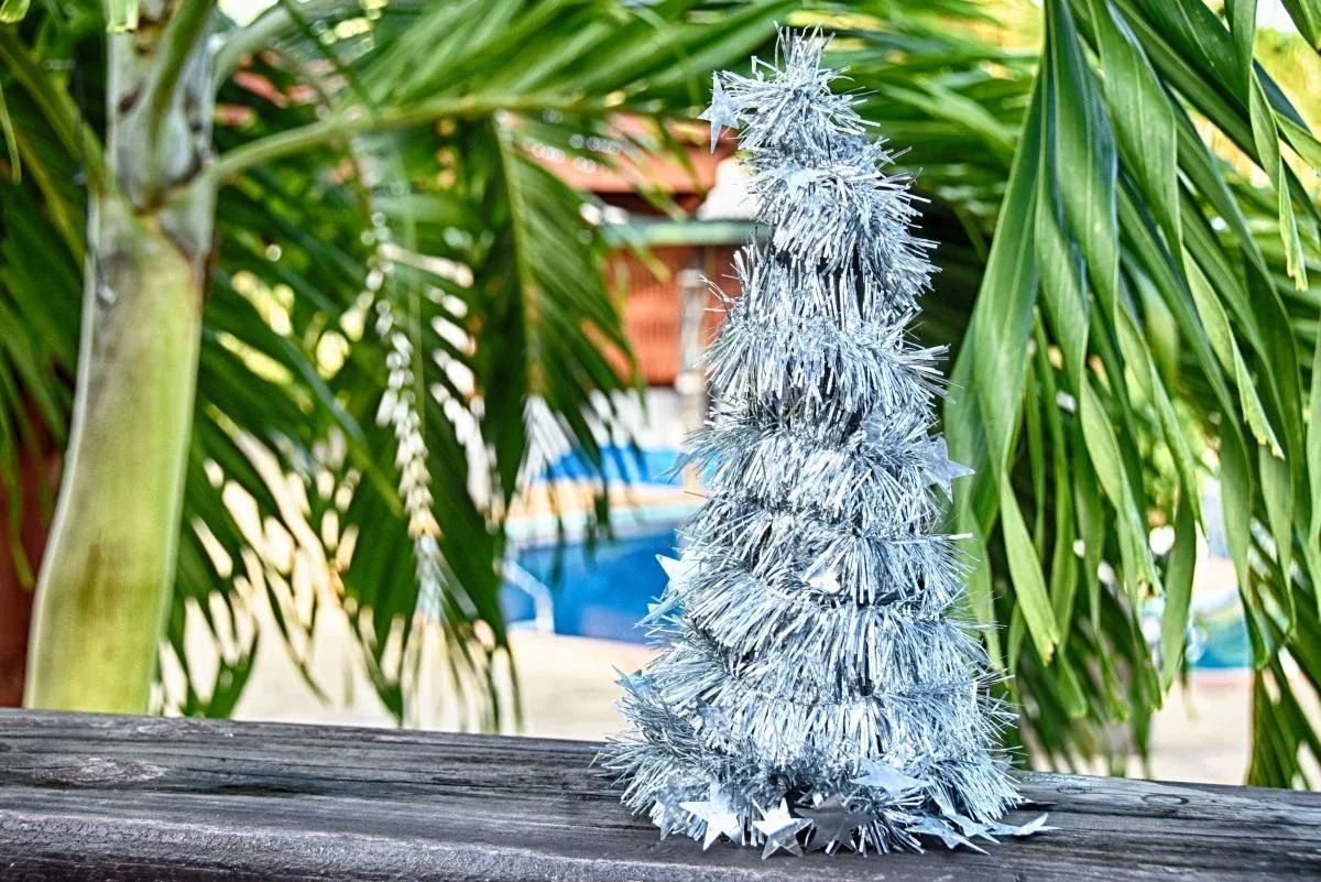 Tonga Christmas Ideas: How to Spend Christmas in Tonga
