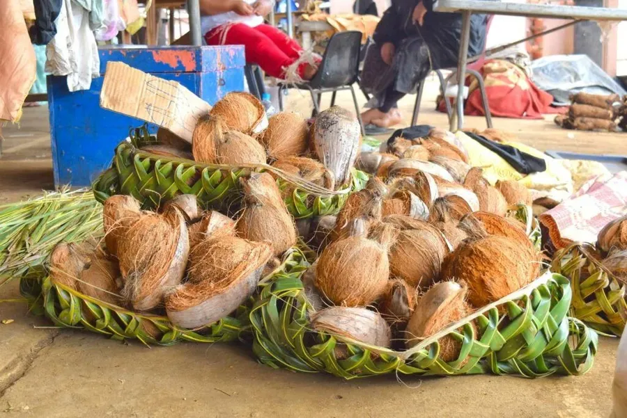 31 Ways to Travel More Sustainably in Tonga