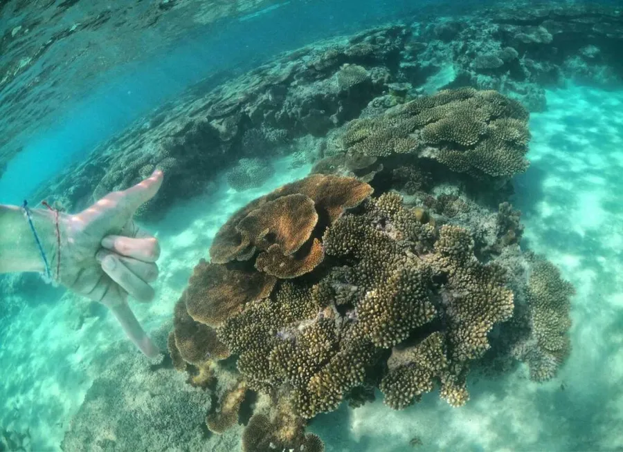 31 Ways to Travel More Sustainably in Tonga
