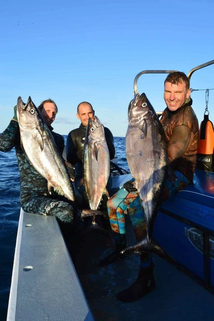 The Complete Guide to Spearfishing in Tonga