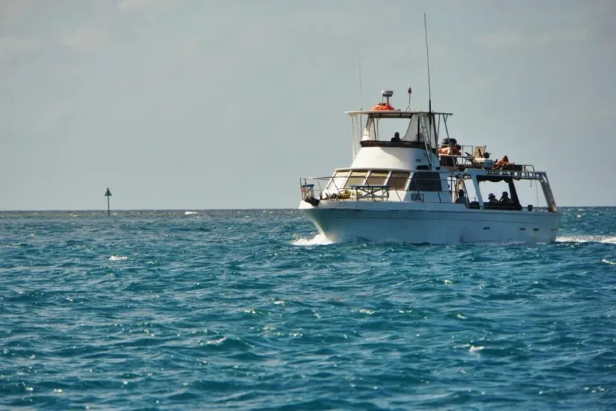 The Best Snorkel & Scuba Dive Tours in Tongatapu & Nuku'alofa