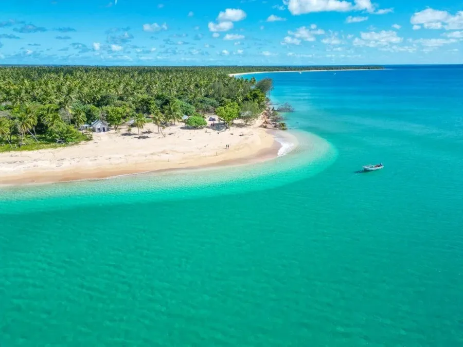5 Best Whale Swim Tours in Ha'apai