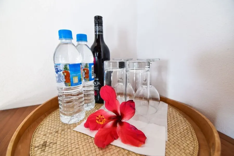 How to Pick the Best Luxury Accommodation in Tonga for You