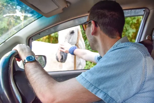 10 Safety Tips for Driving in Tonga