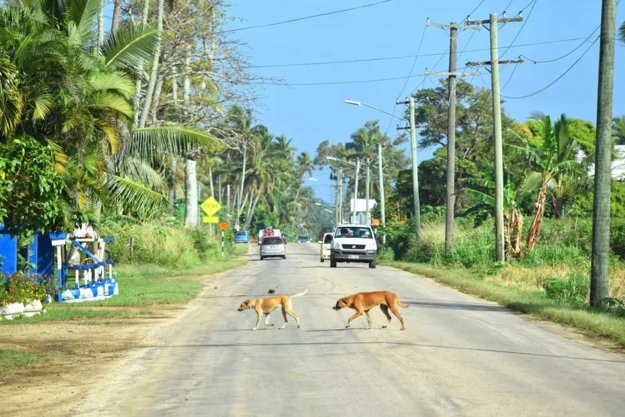 10 Tips for Cycling in Tonga