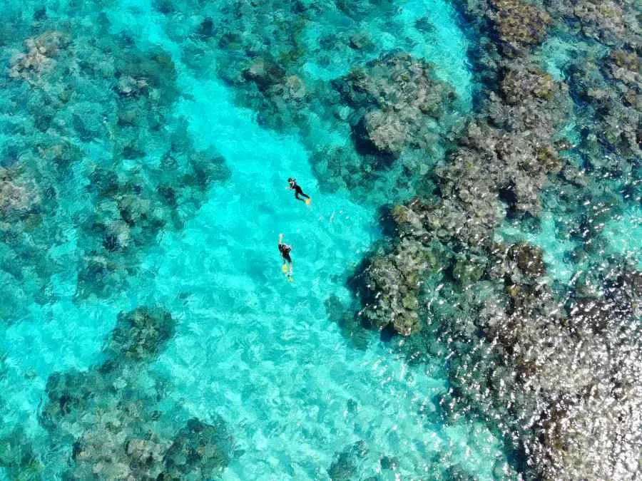 Drone Snorkel Couple Mandatory Credit To TongaPocketGuide.com Small 2
