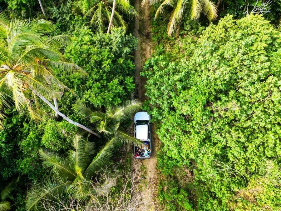 101 Best Things to Do in Tonga: The Ultimate List ???? [2023]