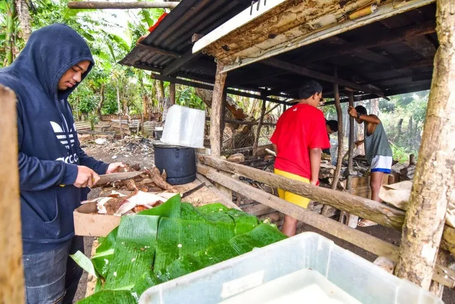 How to Pick the Best Homestay in Tonga for You
