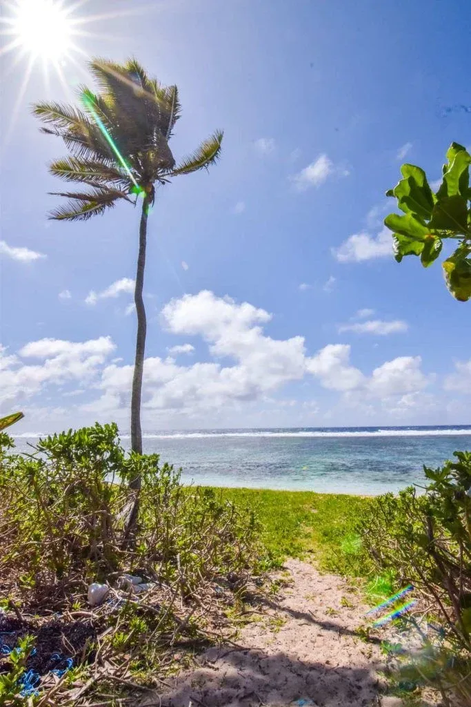 8 Reasons to Have a Destination Wedding in Tonga