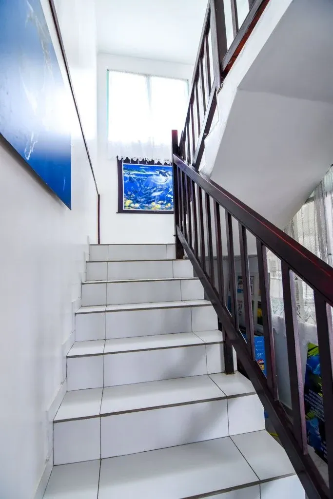 10 Best Budget Accommodation in Tonga
