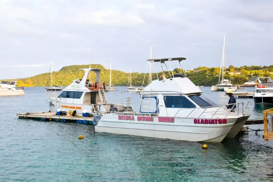 5 Best Snorkelling Tours in Vava'u