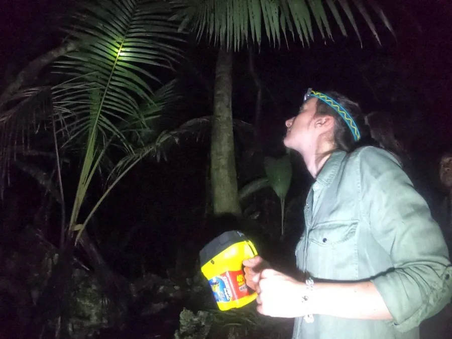 10 Best Things to Do in Tonga at Night