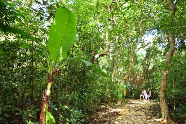 31 Ways to Travel More Sustainably in Tonga