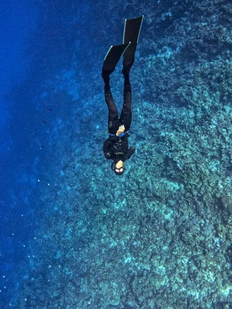 The Complete Guide to Spearfishing in Tonga