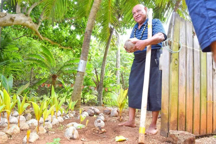 7 Things to Do in Vava'u for Foodies