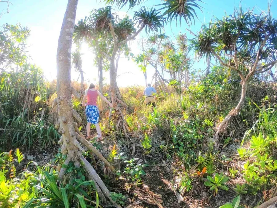 10 Best Things to Do on Niuatoputapu